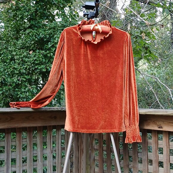 Romantic Rust Velvet Long Sleeved Shirred Wrists & Ruffled Cuss & Neck Top Sz M - Picture 2 of 9